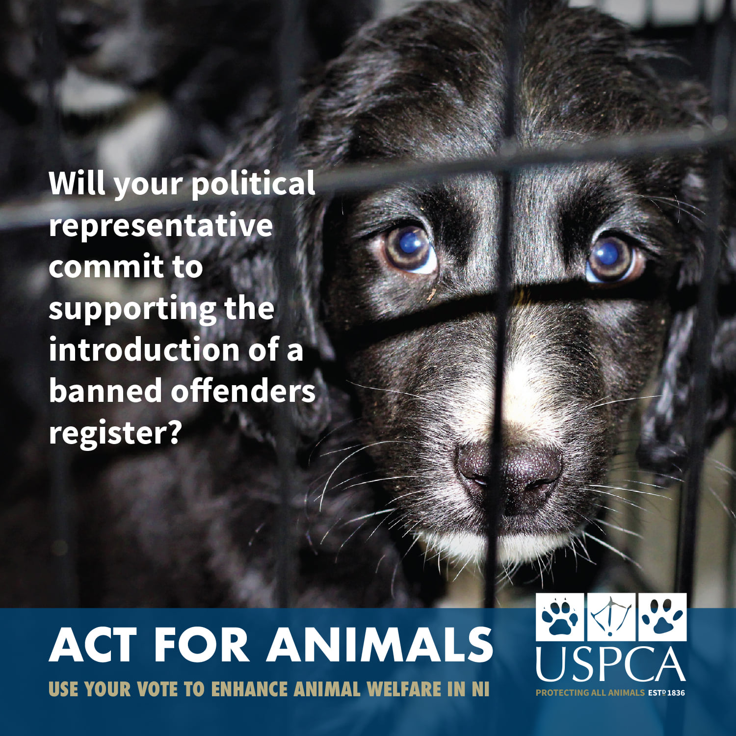 USPCA - The establishment of a banned offenders register is a vital ...