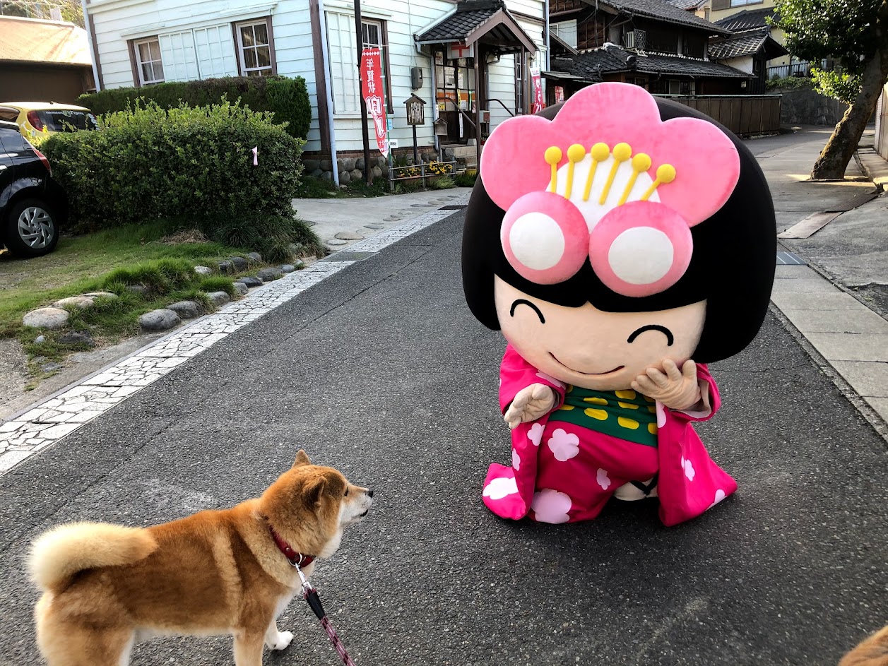 知多市観光ガイド - 暑～い夏にきっと行きたくなる！ 知多市で楽しむ「あいち冷やし旅」 おすすめ地酒・ビール OKD KOMINKA ...