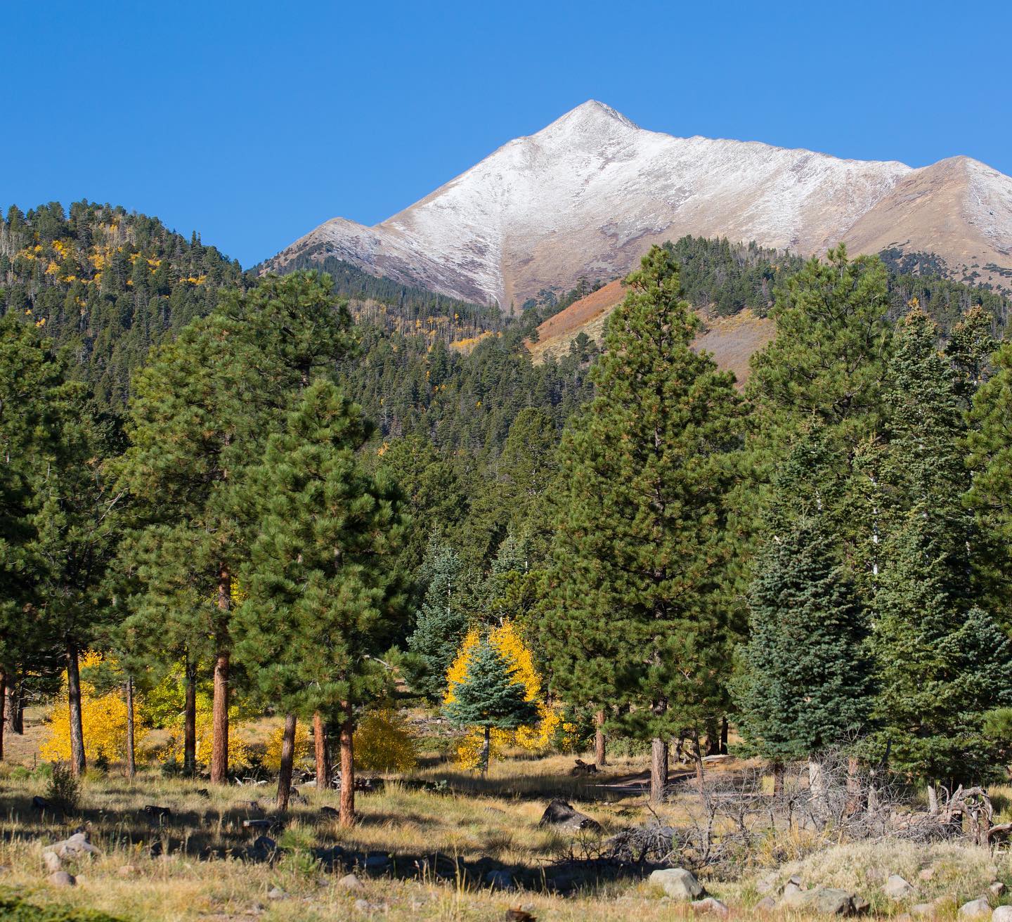 Sky Ranch Horn Creek | Westcliffe CO