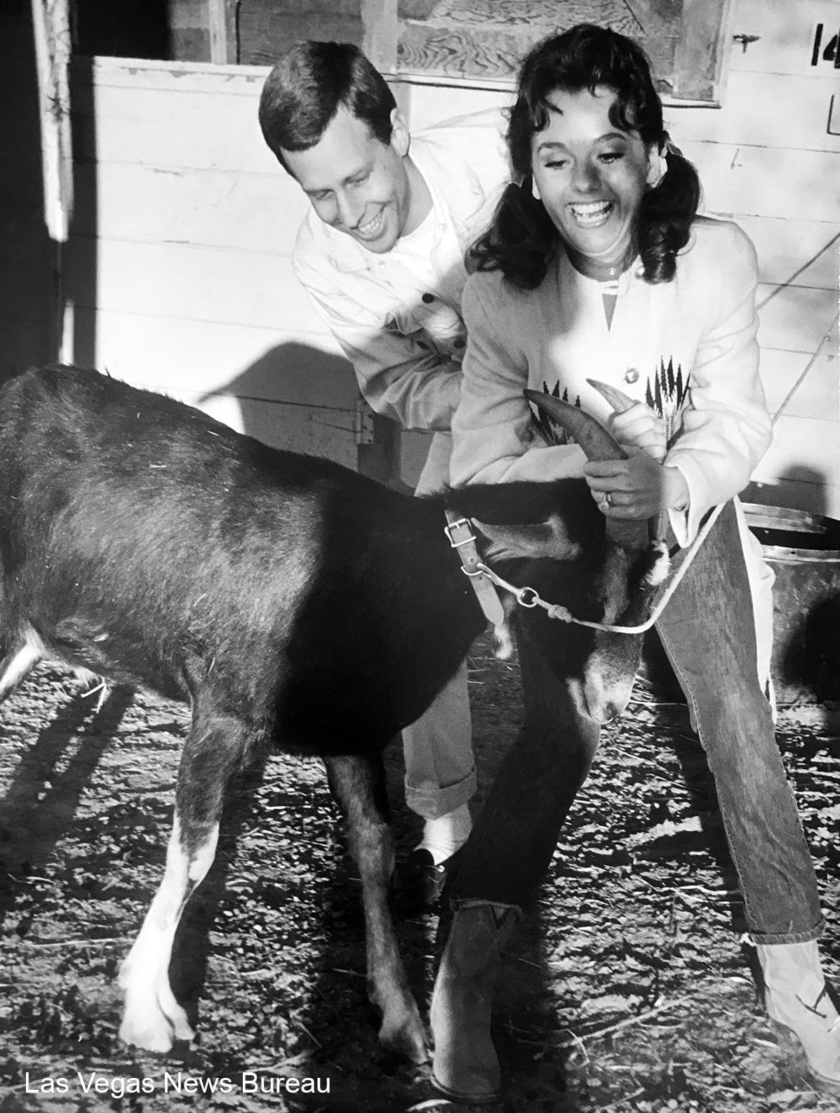 Dawn Wells - Dawn and her husband, Larry Rosen, enjoying a... | Facebook