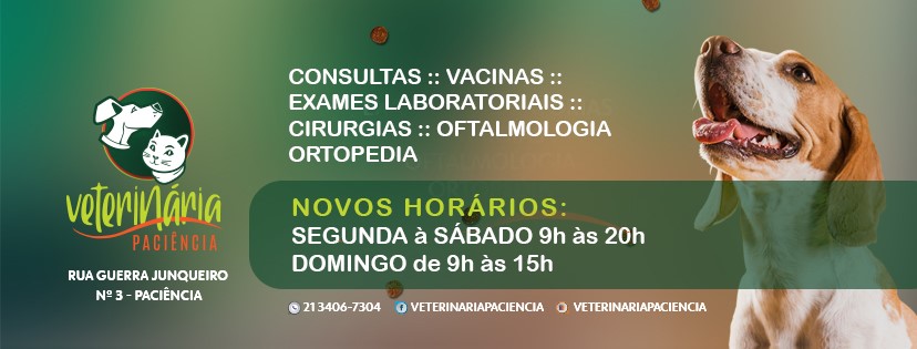 Pathos- Aperfeiçoamento em Patologia Veterinária - A linfadenite ...