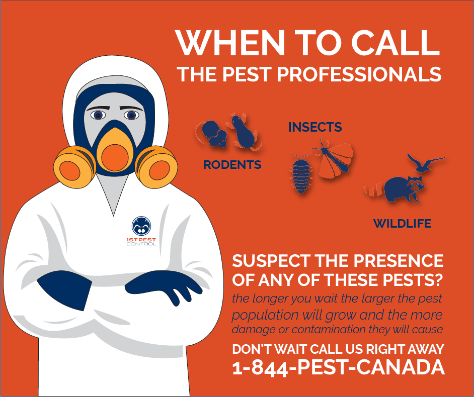 1st Pest Control | Delta BC