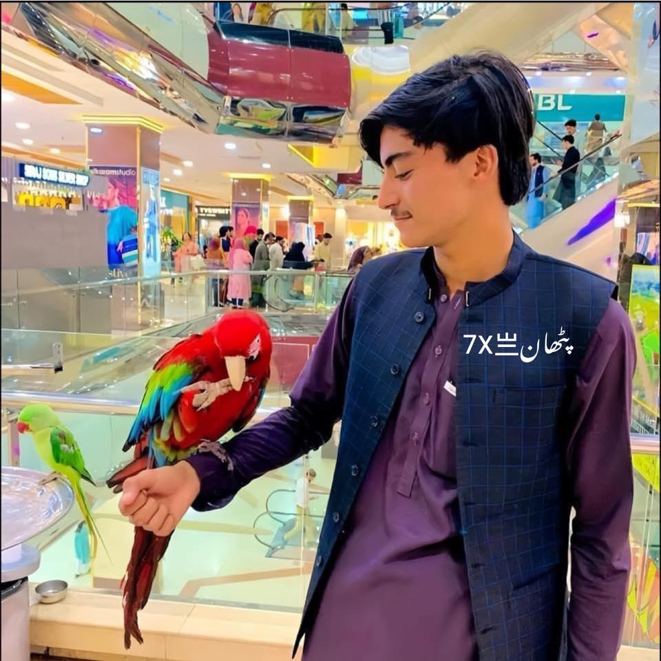 Pathan Khan