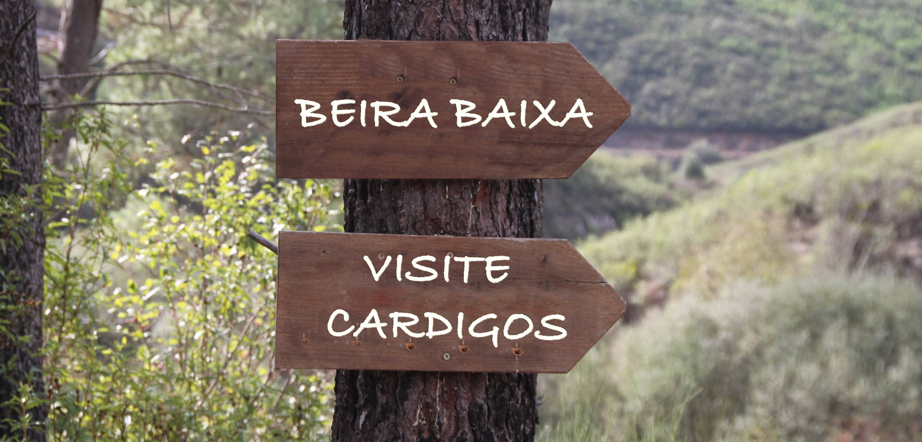Visit Cardigos | Cardigos