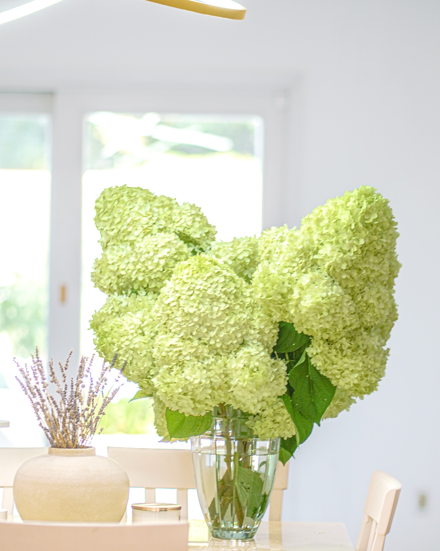 spaceofkookoo - Our limelight hydrangeas are blooming beautifully, and ...
