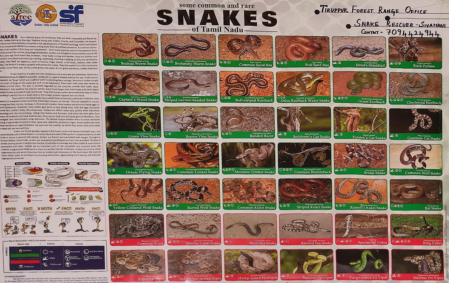 Snake Rescue Force