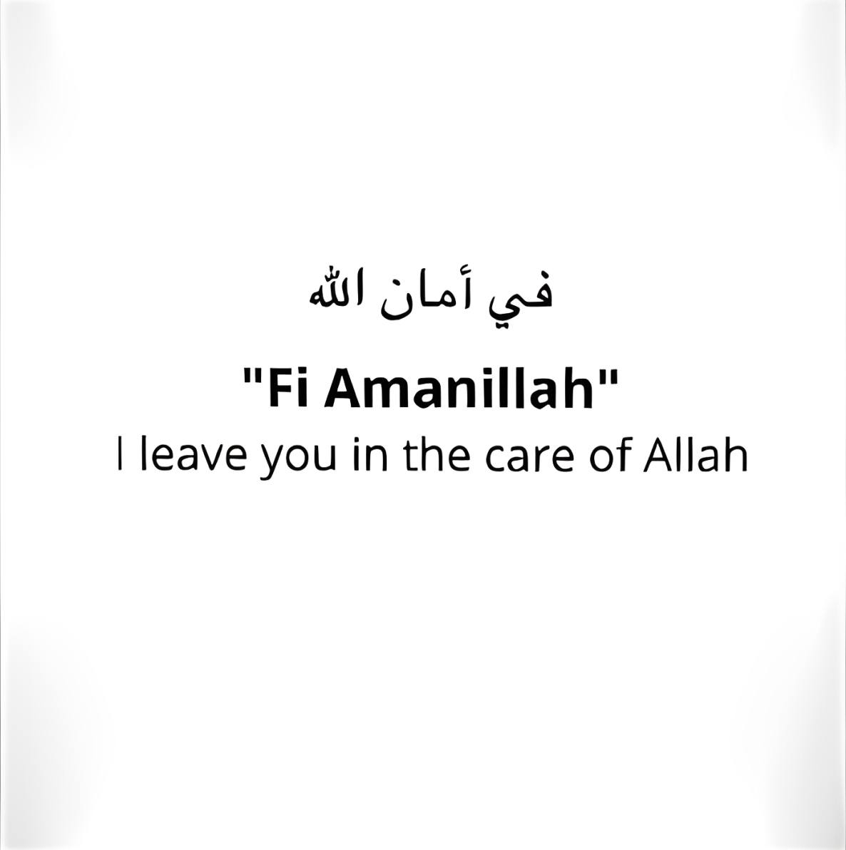 في أمان الله 