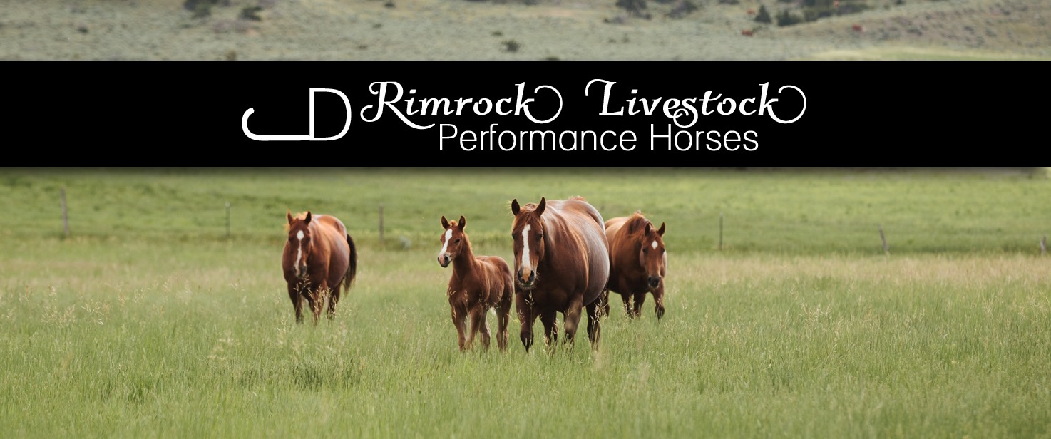Morning Ranch - Morning Ranch added a new photo.