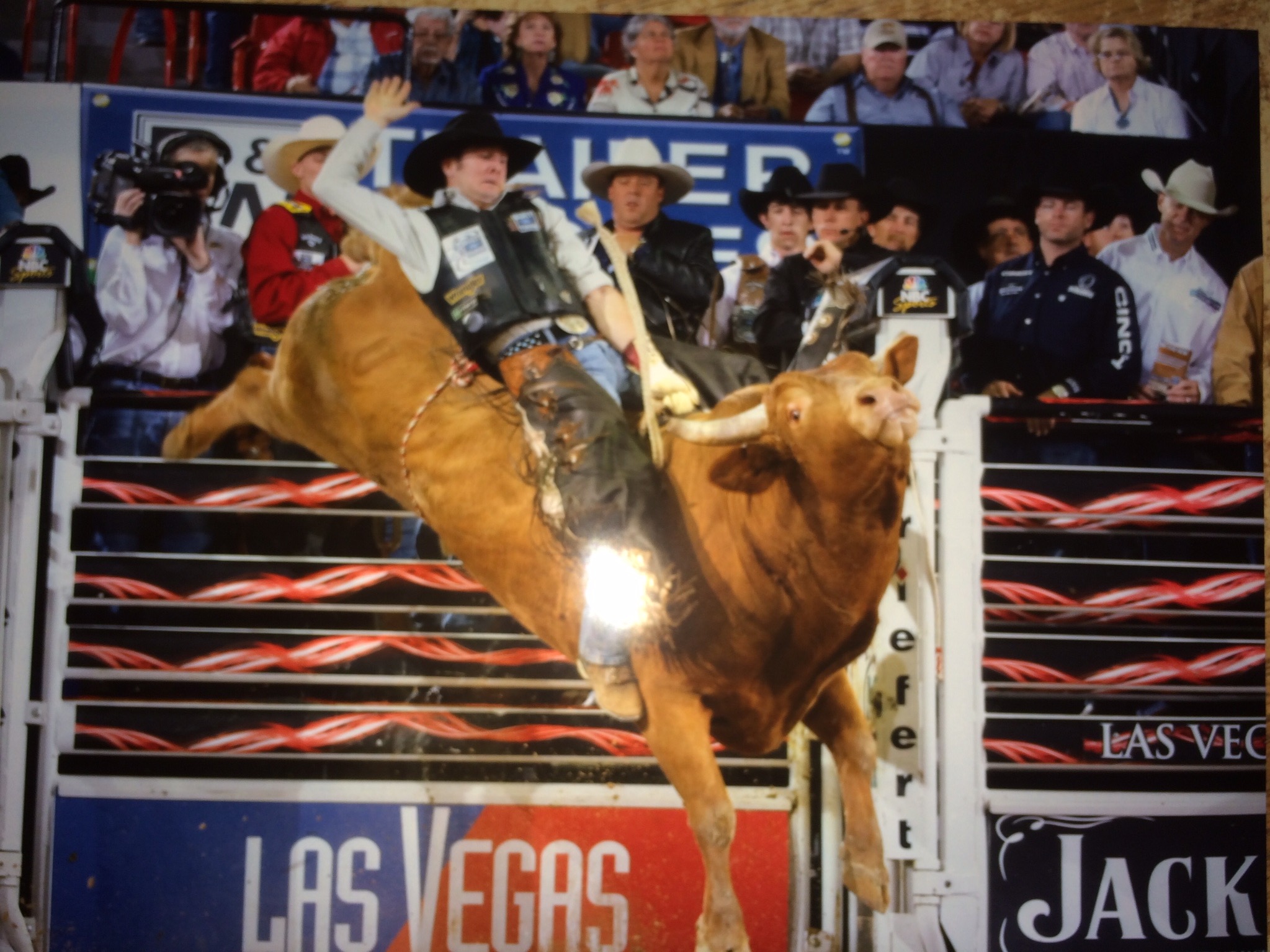 Cody Ford-Professional Bull Rider