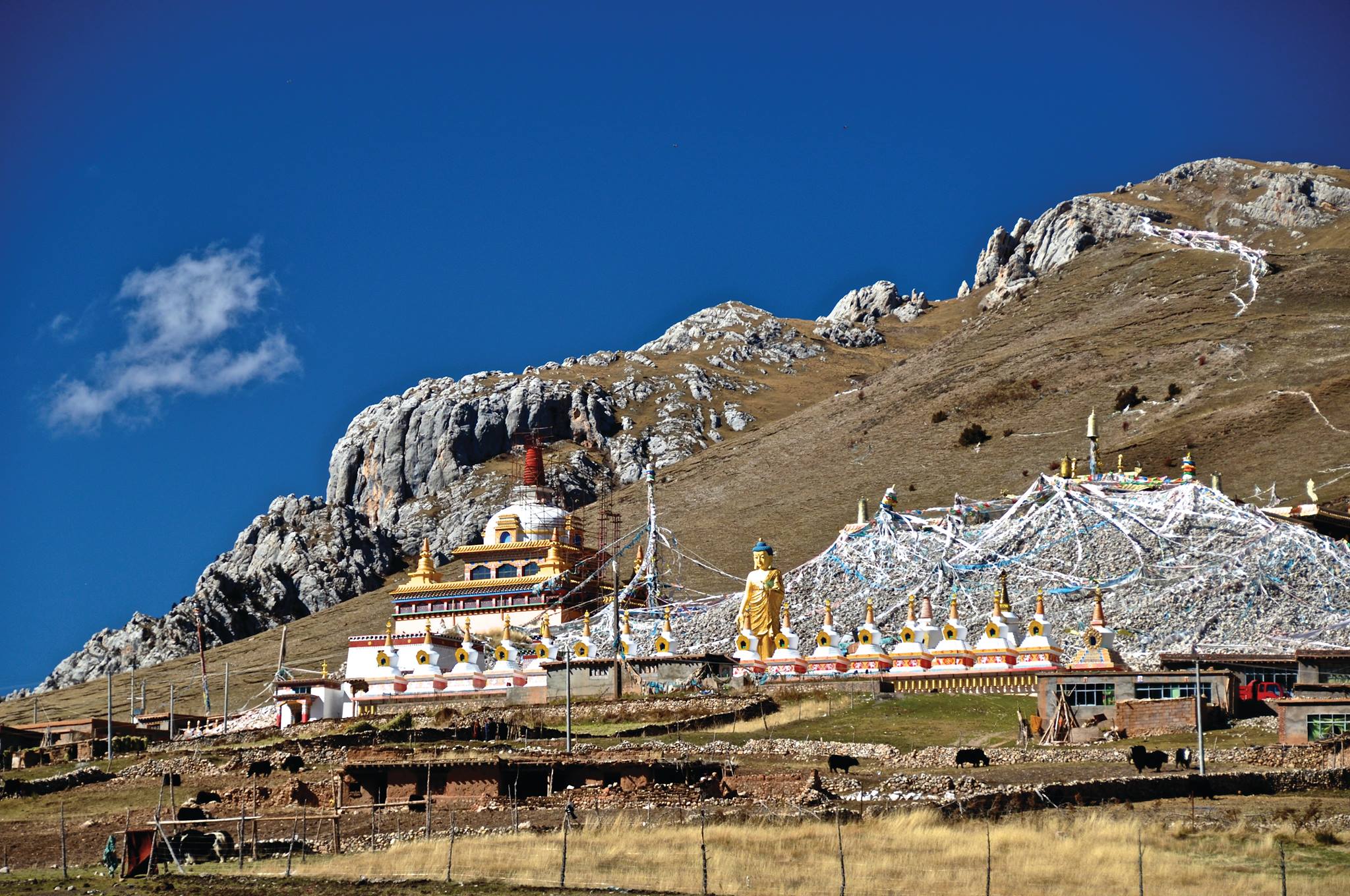 Trulshik Adeu Rinpoche