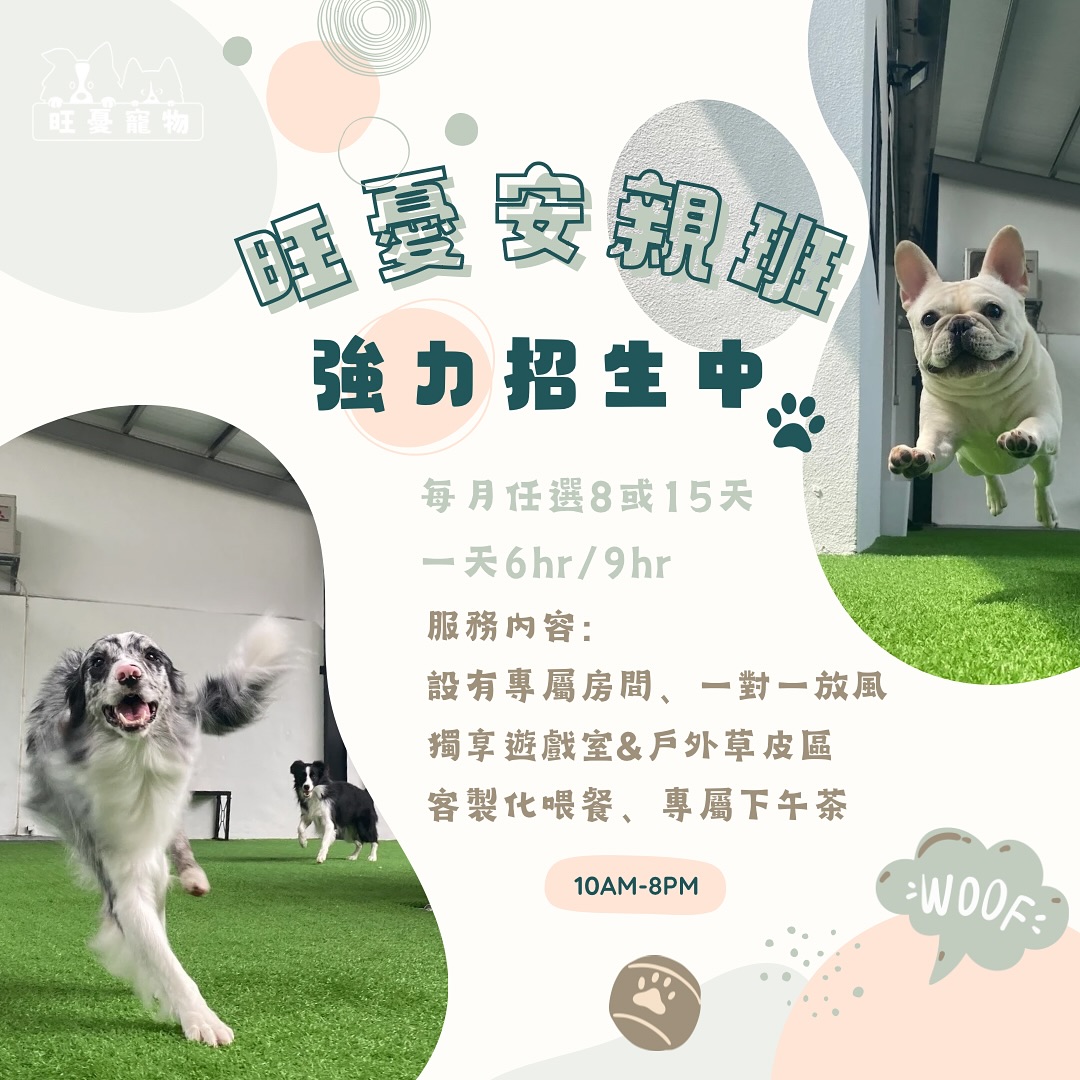 旺憂安親班🐶強力招生中‼️... - 旺憂寵物wantu 〔用品．美容．住宿．安親〕
