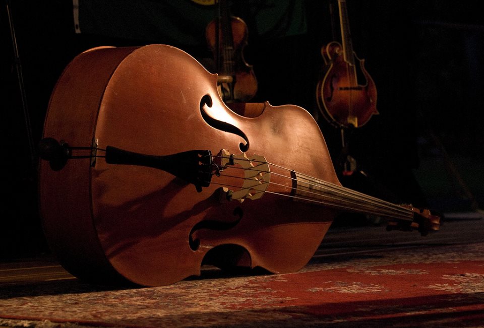Art.contrabasso
