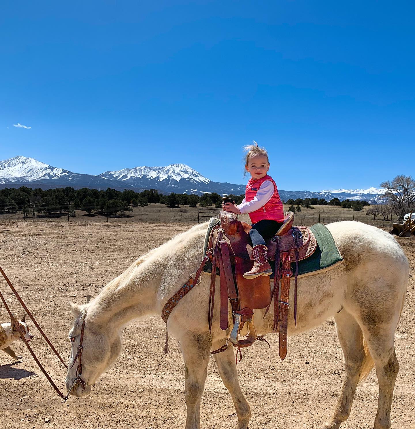 JW Ranch - 🤠 🤠🤠🤠