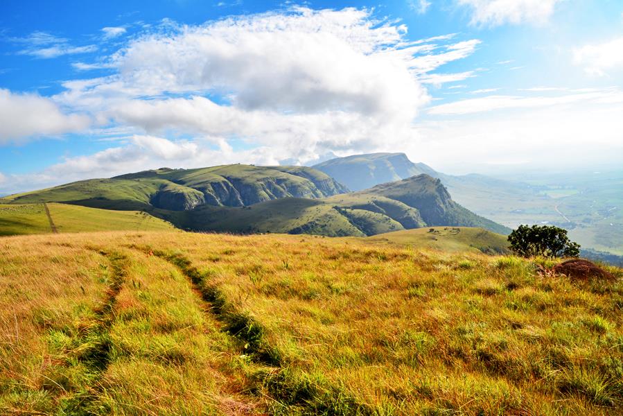 RMB Ultra-trail Cape Town... - RMB Ultra-trail Cape Town