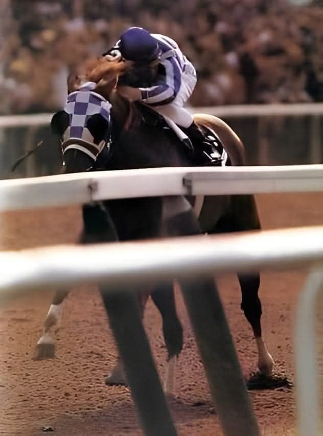 American - Secretariat Takes the Triple Crown On June 9, 1973, the ...