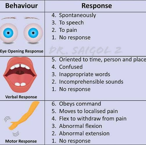 Facebook - Acknowledge Obvious Indicate Walk Jas Viewport Organs Parties