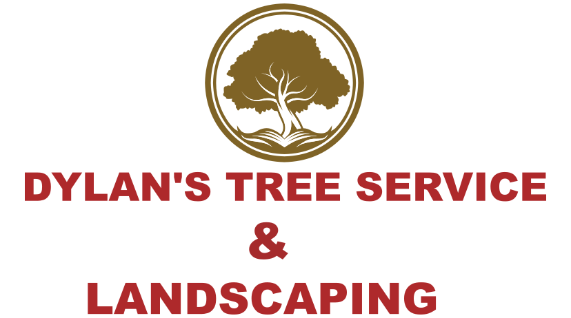 Dylan's Tree Service & Landscaping | Marietta GA