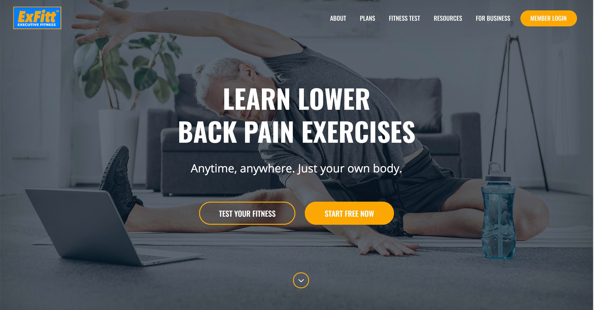 ExFitt Fitness Program