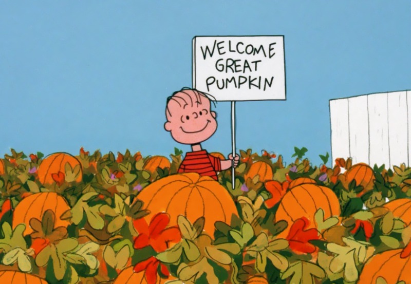 🚨 THIS IS NOT A DRILL! 🚨... - The St. Thomas Pumpkin Patch | Facebook
