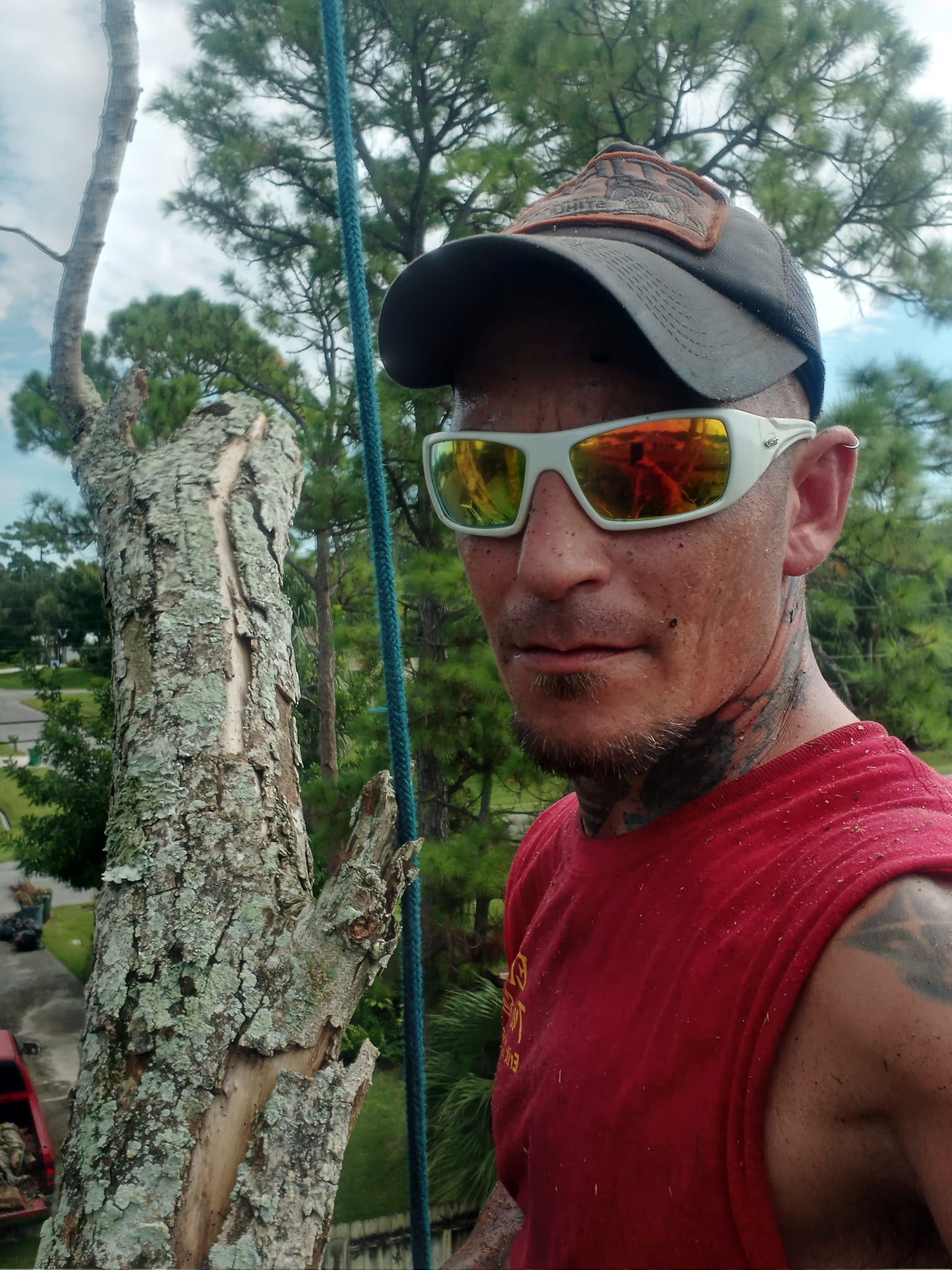 Erik's Tree Service