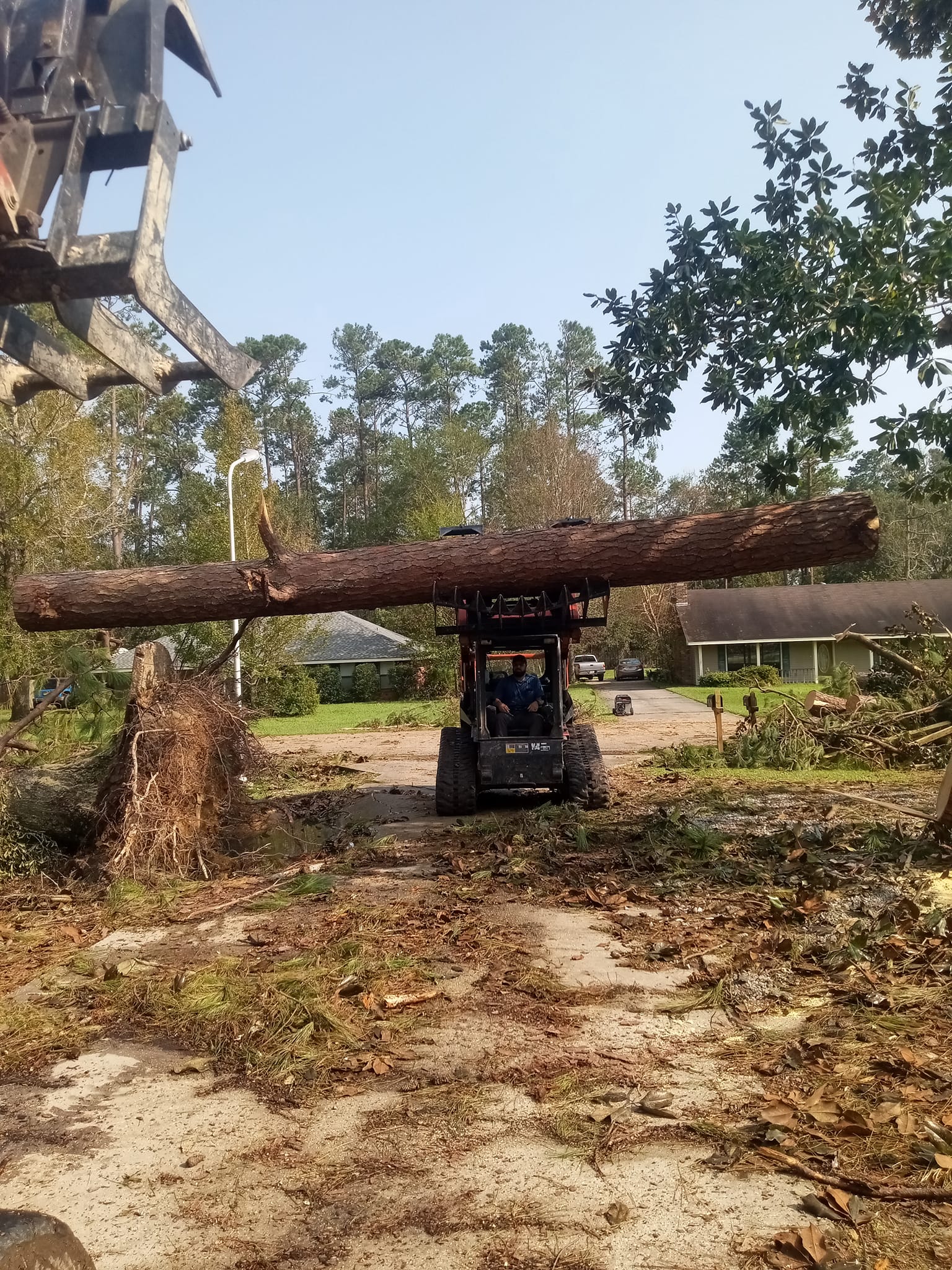 Erik's Tree Service