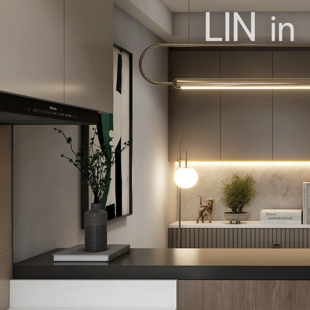 LIN 65