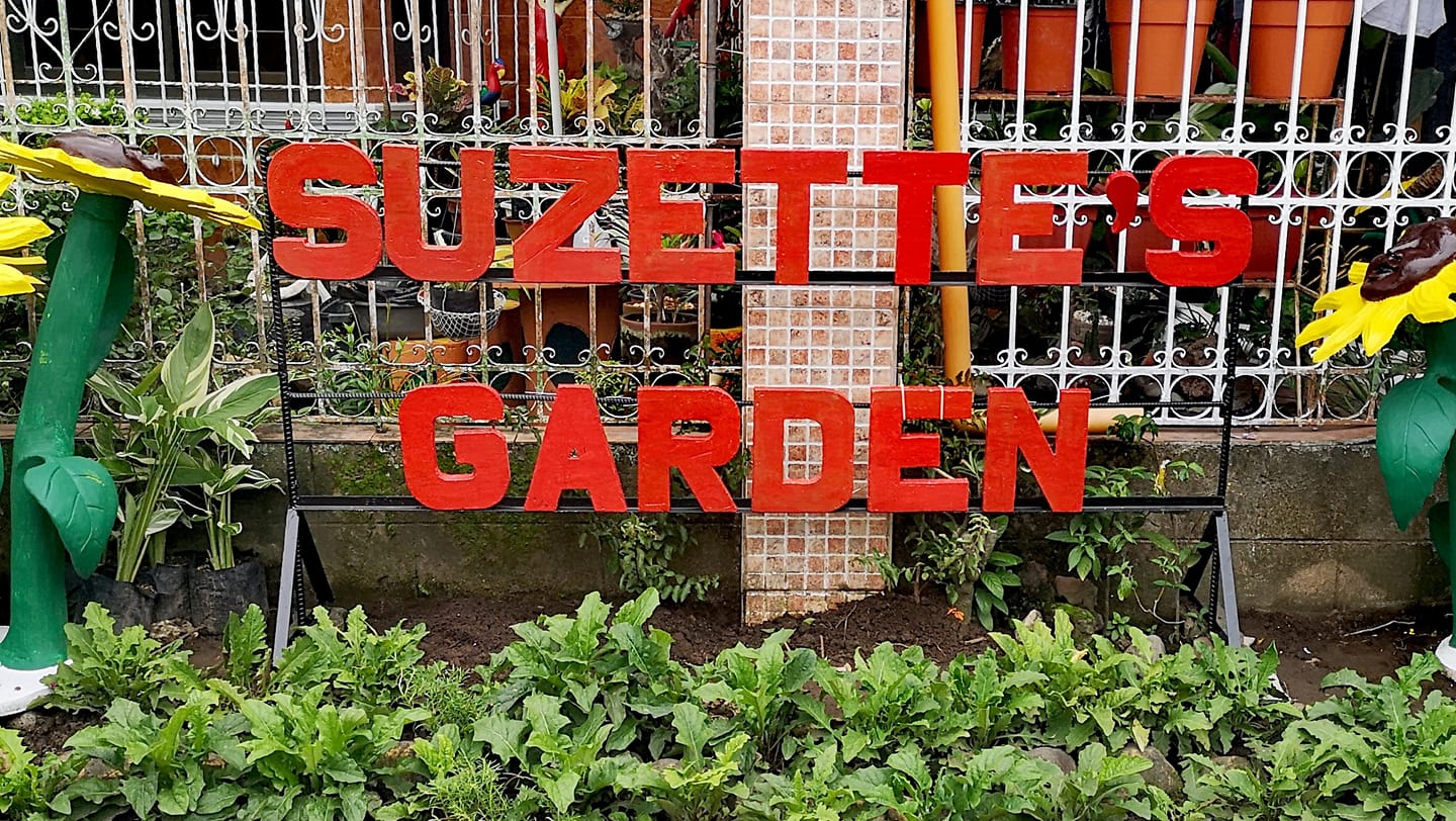 suzette-s-garden