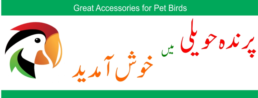Prindha Hawaili - پرندہ حویلی