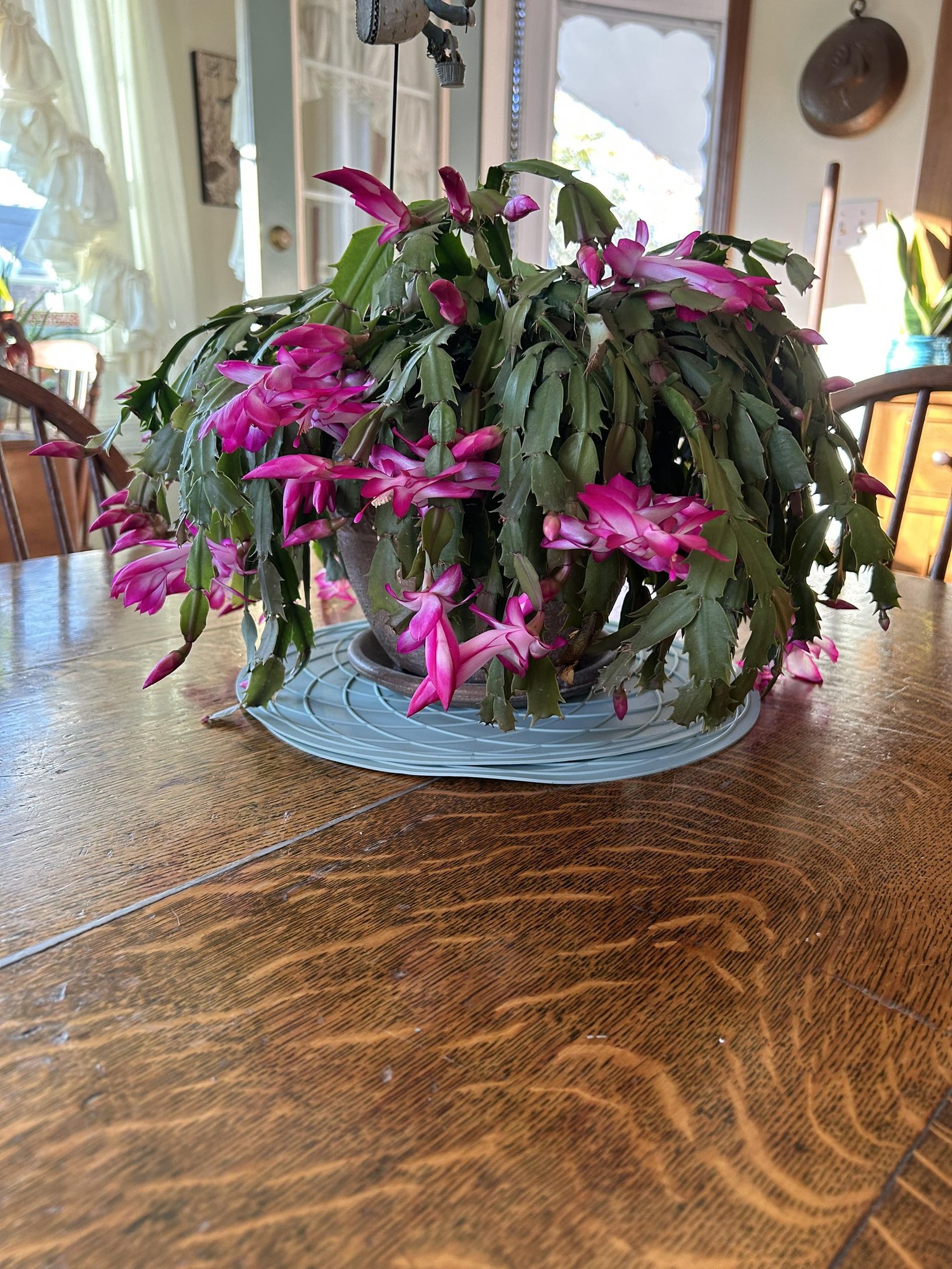 Sally LaBuda (@sally.labuda) • Facebook, Connect with friends