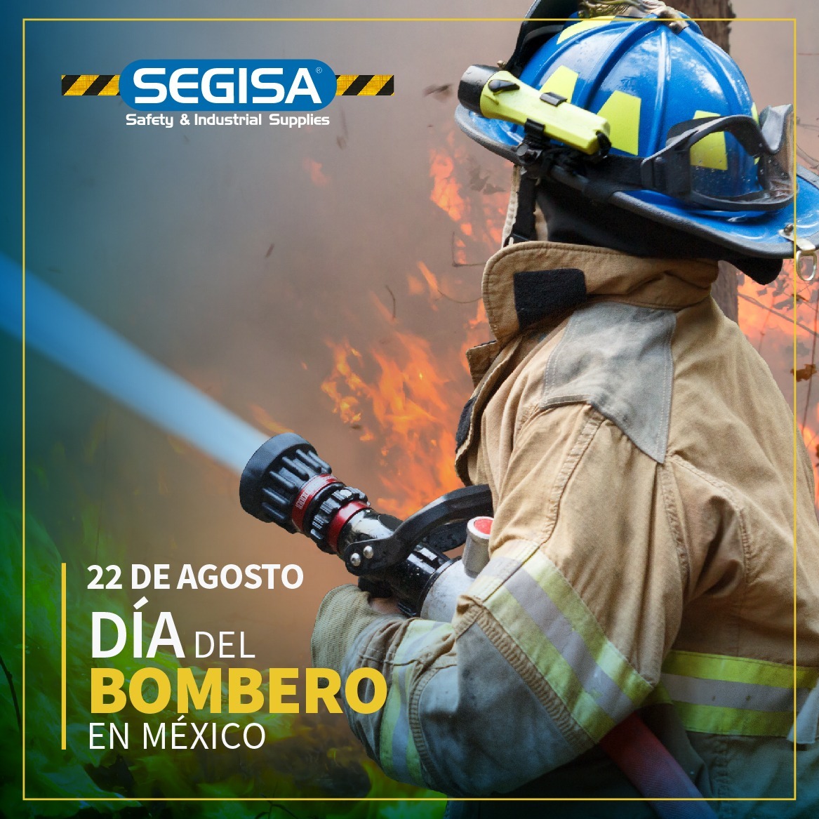 Segisa - ¡FÉLIZ DÍA! Nuestro reconocimiento por su...