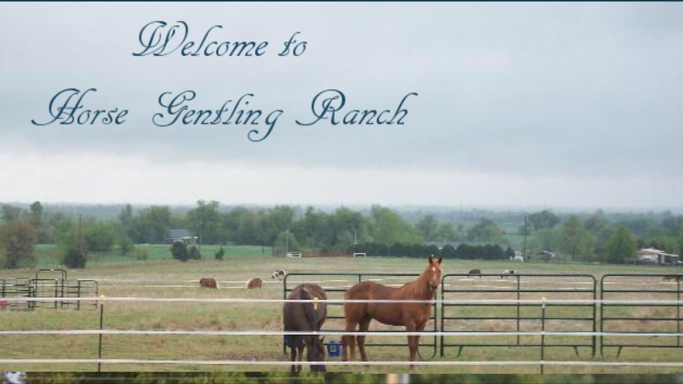 HG Ranch LLC | Enid OK