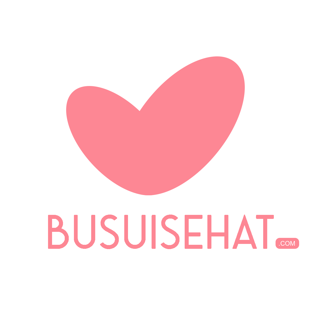 Busui Sehat