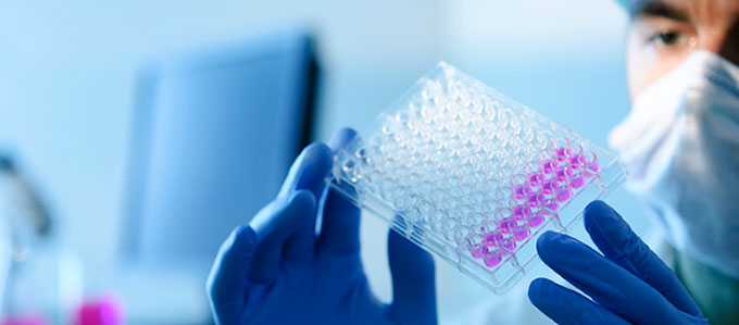 The Biogene... - The Biogene Medical PCR Diagnostic labs