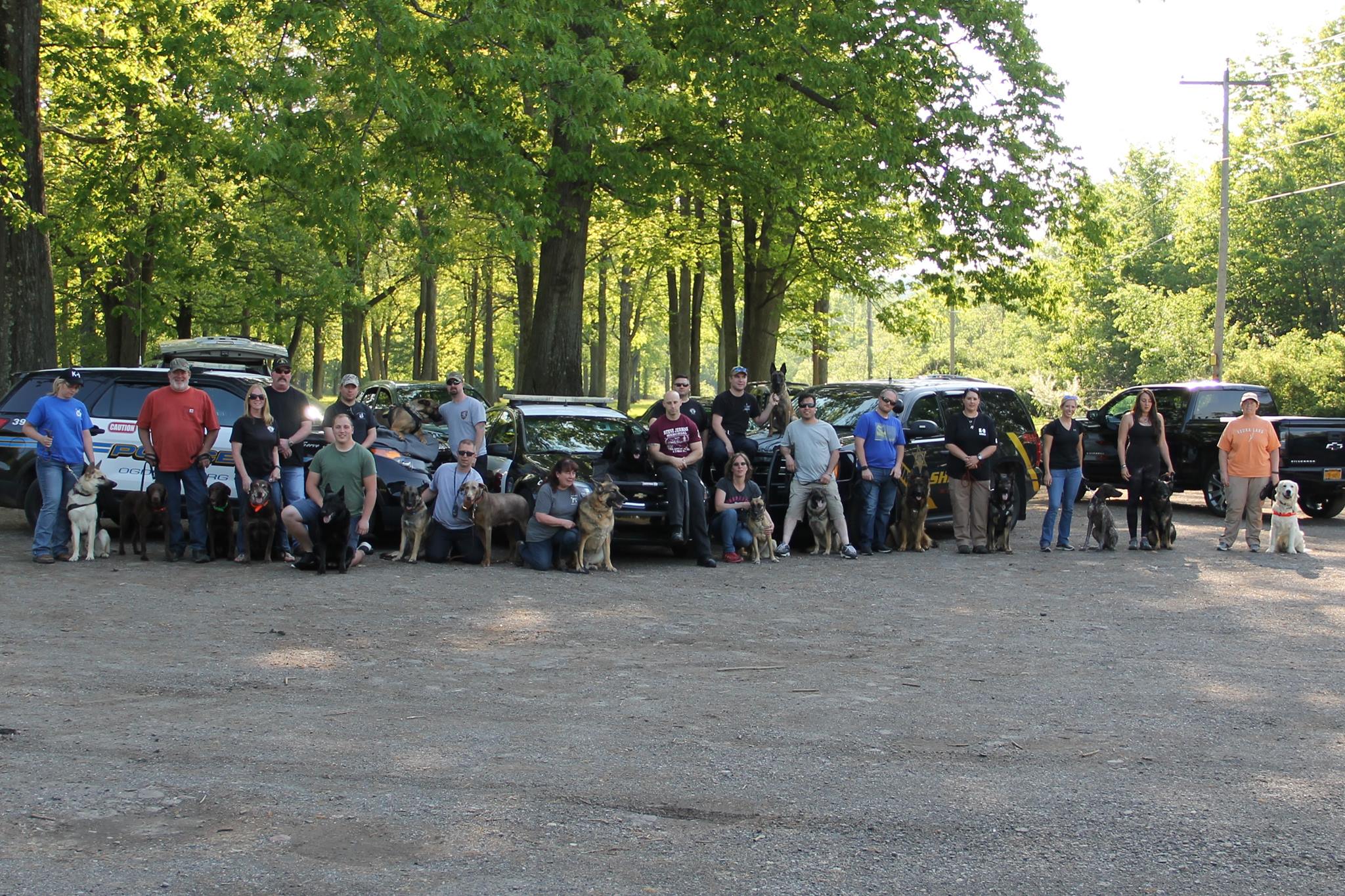 Phillips Command Dogs | Olean NY