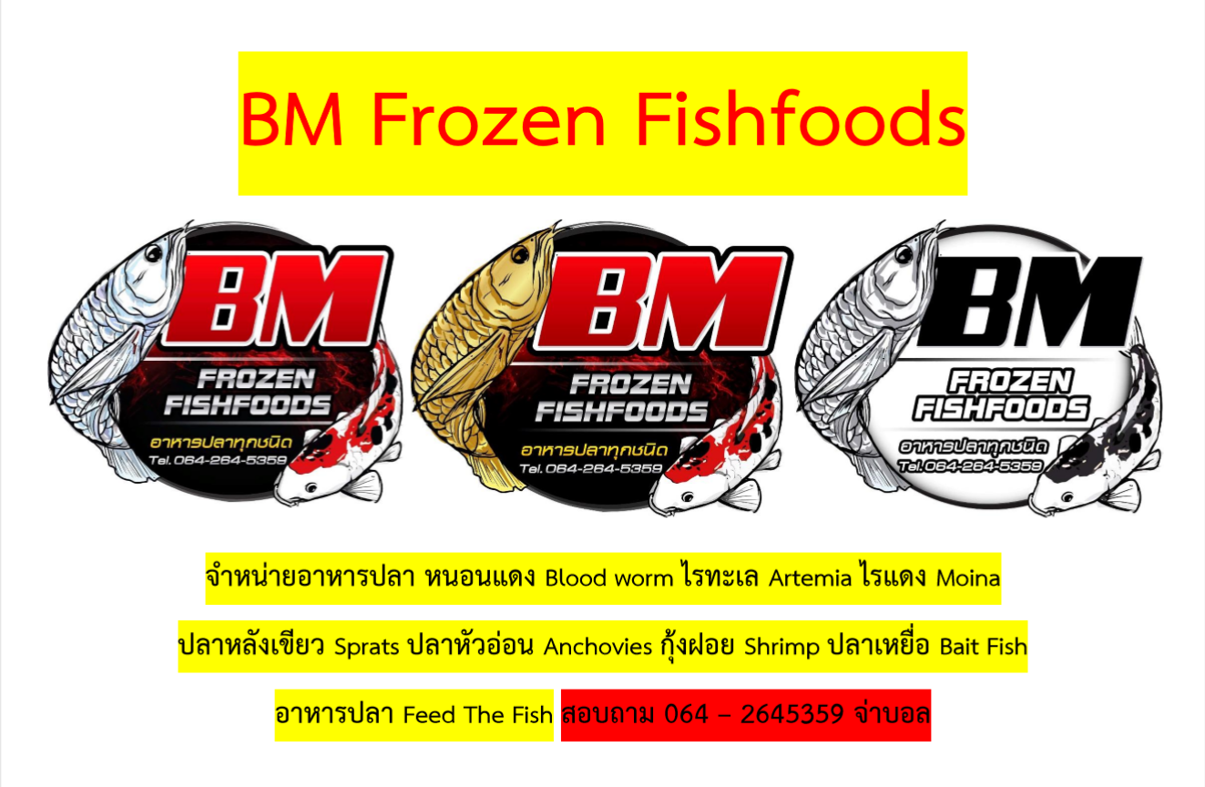 BM Frozen Fishfoods หนอนแดง ไรทะเล ปลาหัวอ่อน แช่แข็ง | Samut Prakan