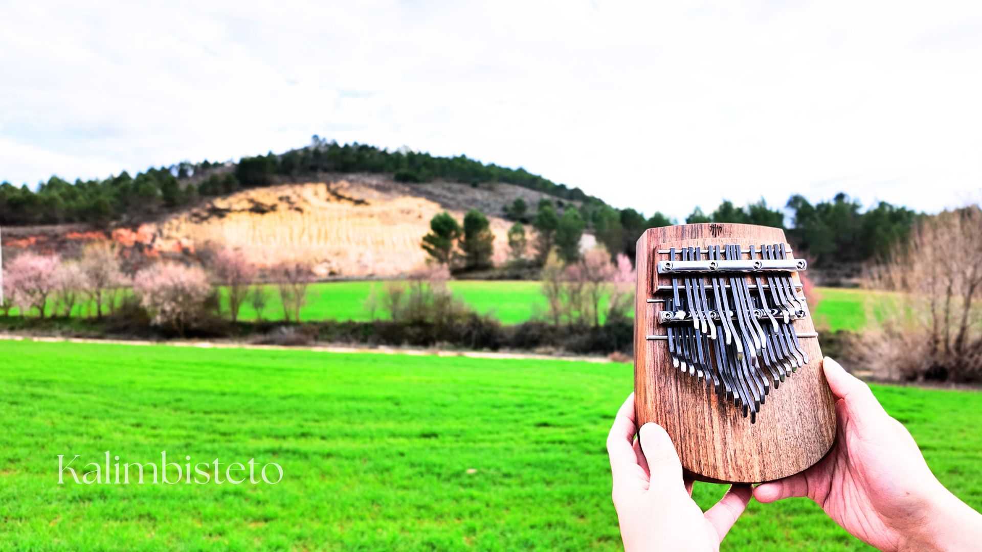 Kalimbisteto / Array Mbira & Kalimba Music