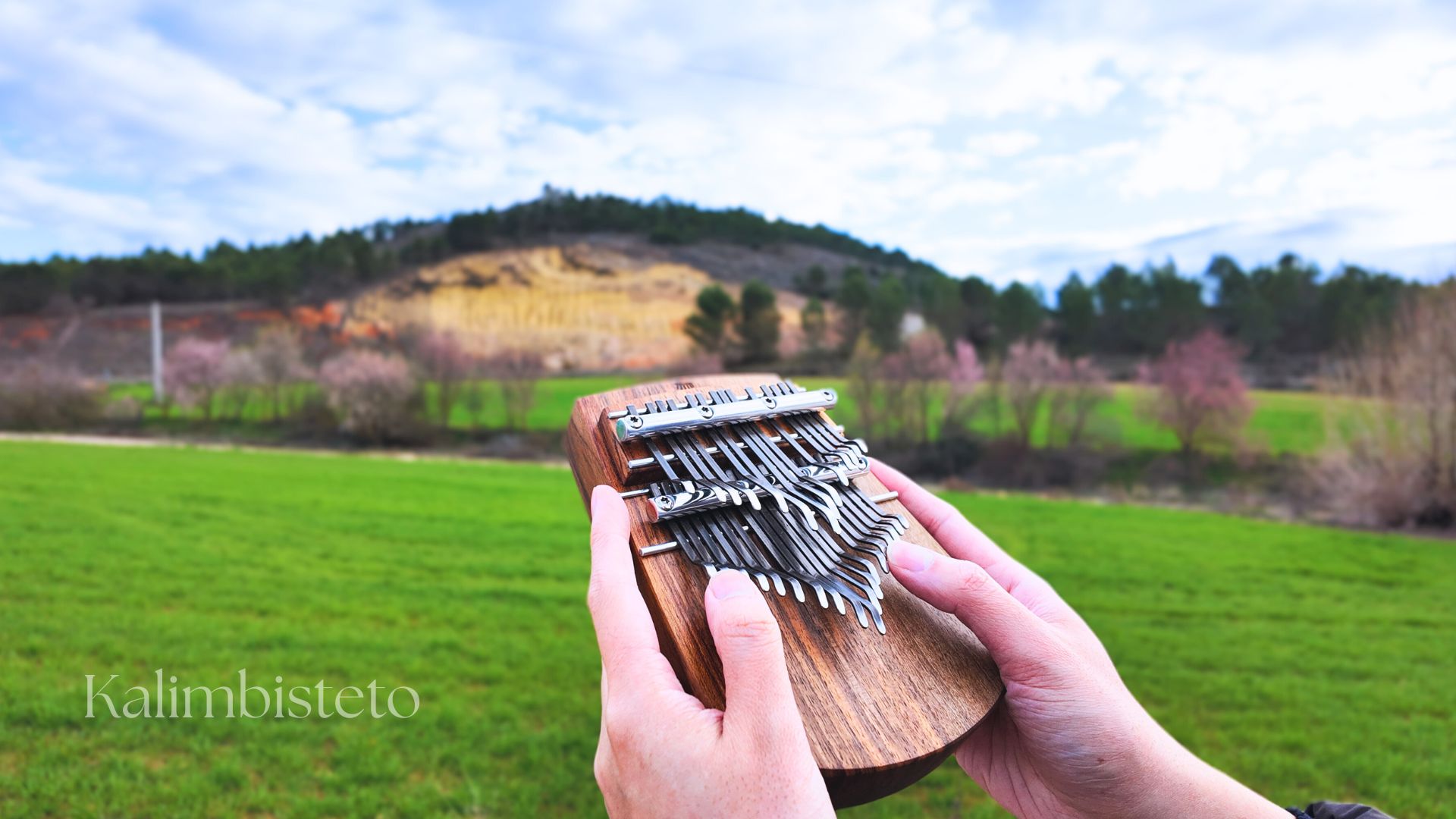 Kalimbisteto / Array Mbira & Kalimba Music