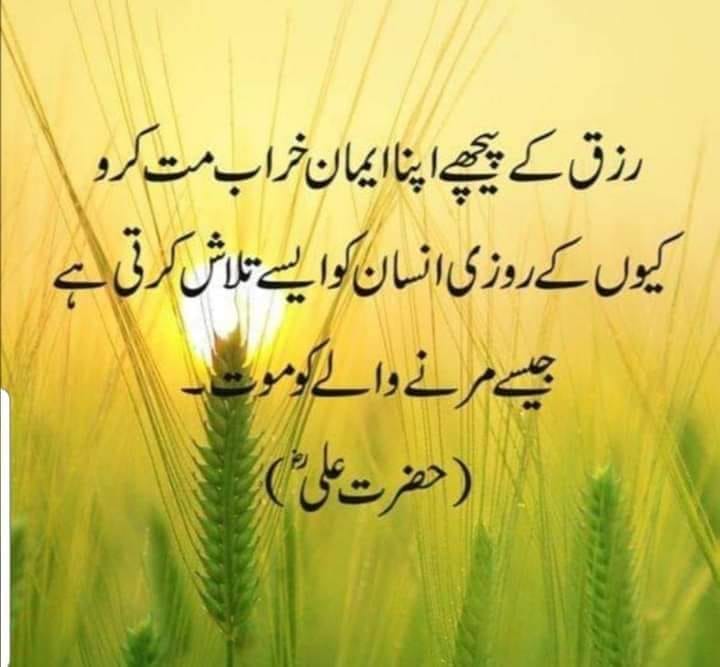 Parvaiz Ibn Mushtaq
