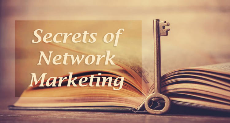 Network Mania India