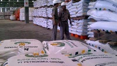 Dustributor PUPUK gresik