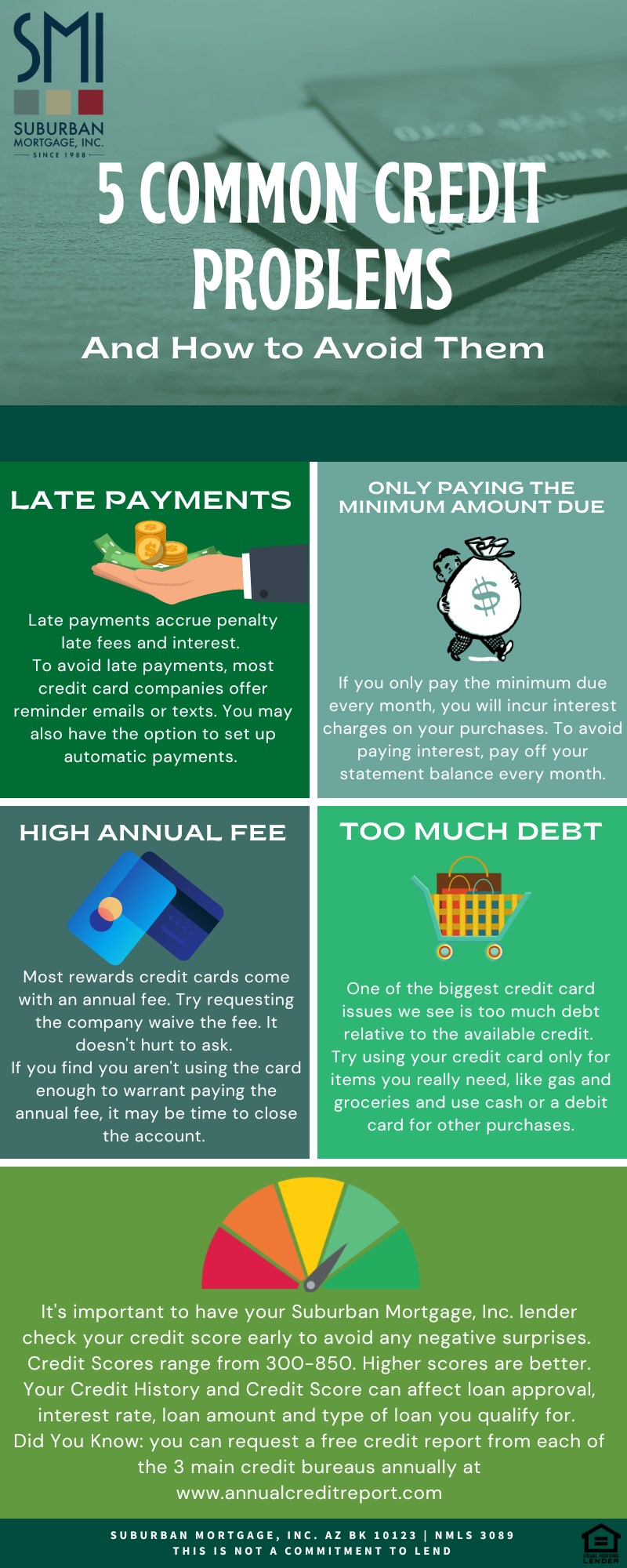 Jheri - Check out this educational infographic 5 Common Credit Problems ...