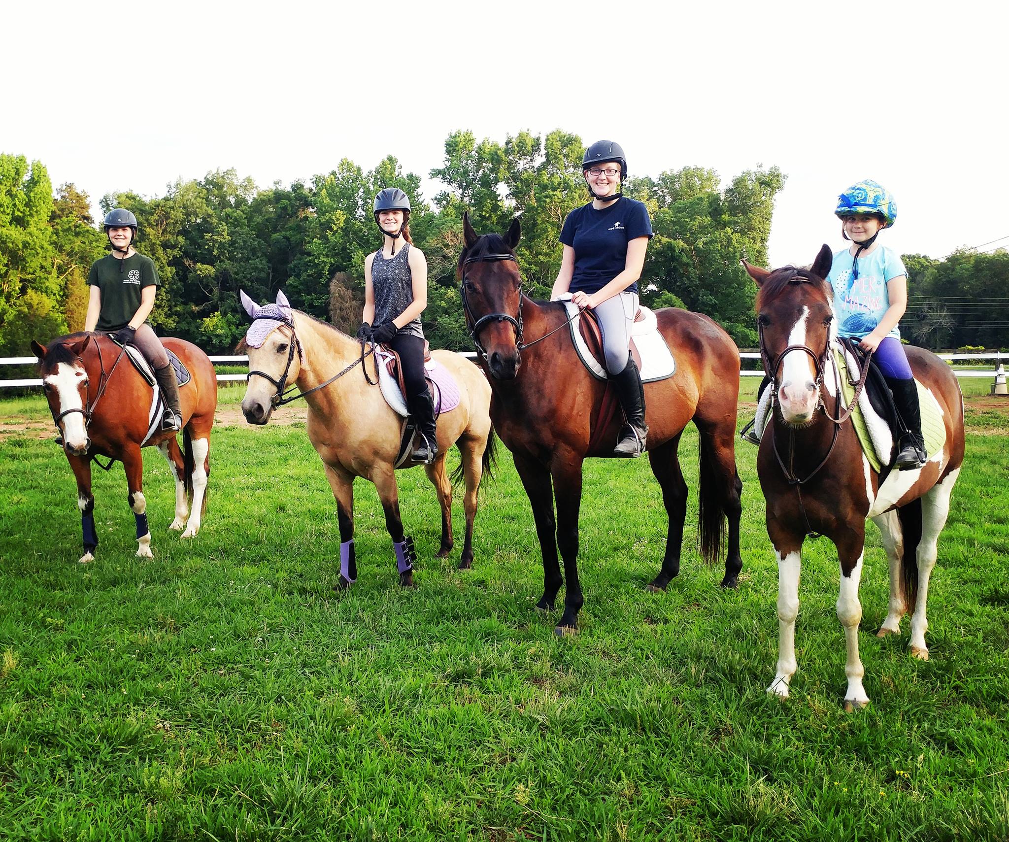 Silver Valley Riding School | Lexington NC