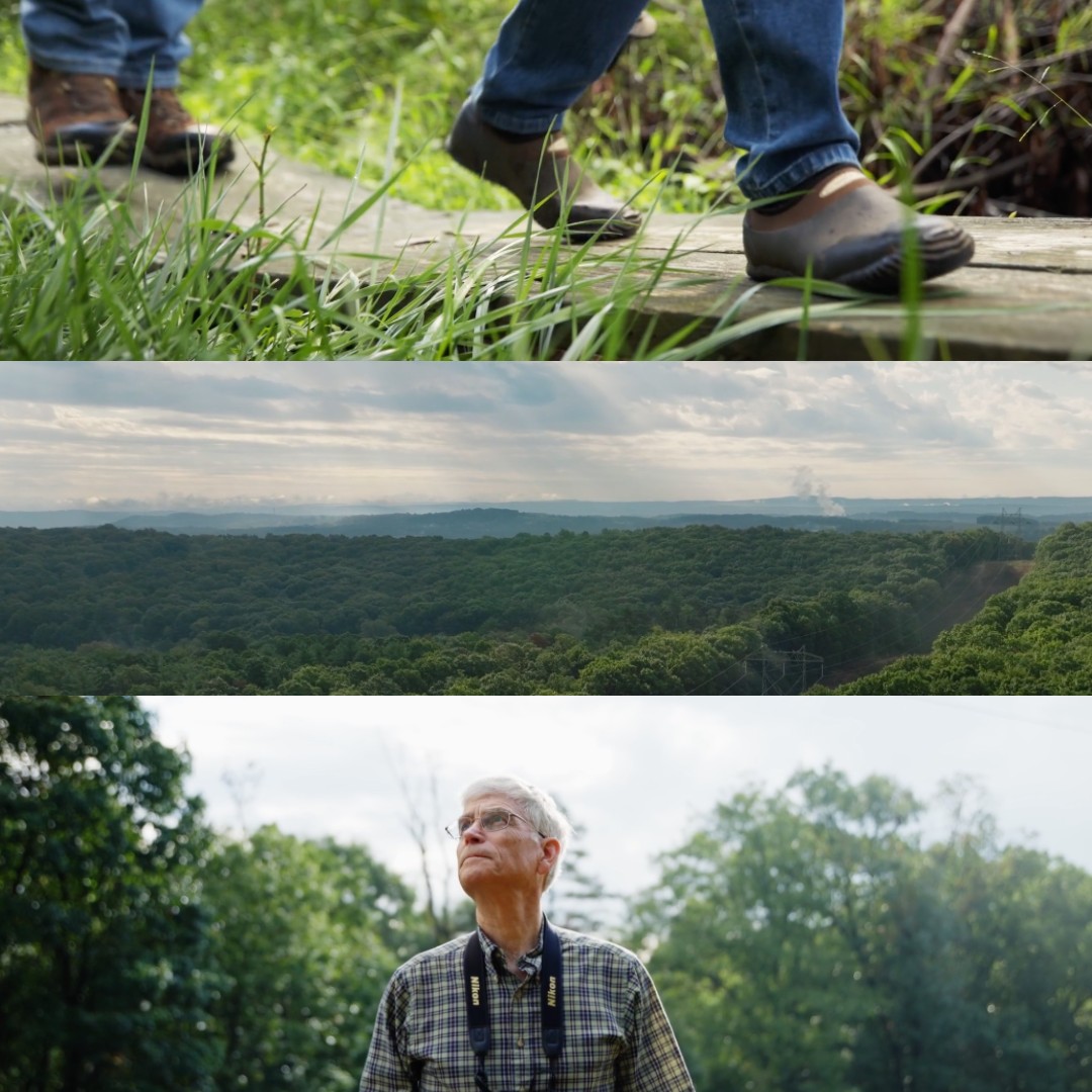 DMK - Let's talk about PA conservation...🍃 Frames from our latest work ...