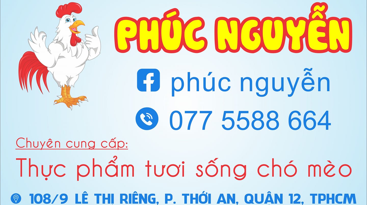 Phúc Nguyễn - Chuyên Mua Bán Chó Cảnh Chó Alaska Chó Husky - Uy Tín ...