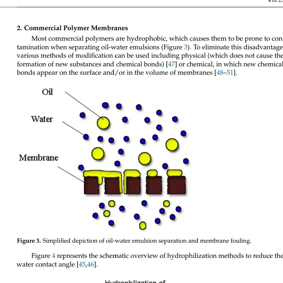 Polymeric... - Polymeric membrane laboratory TIPS RAS
