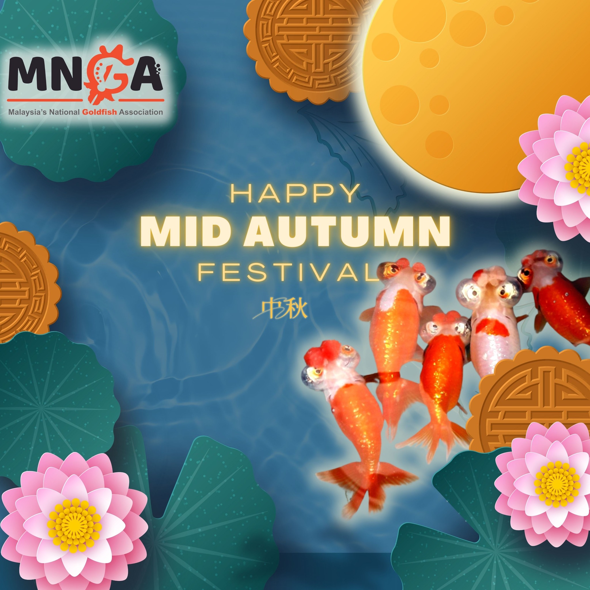 MNGA - Malaysia's National Goldfish Association | Kuala Lumpur