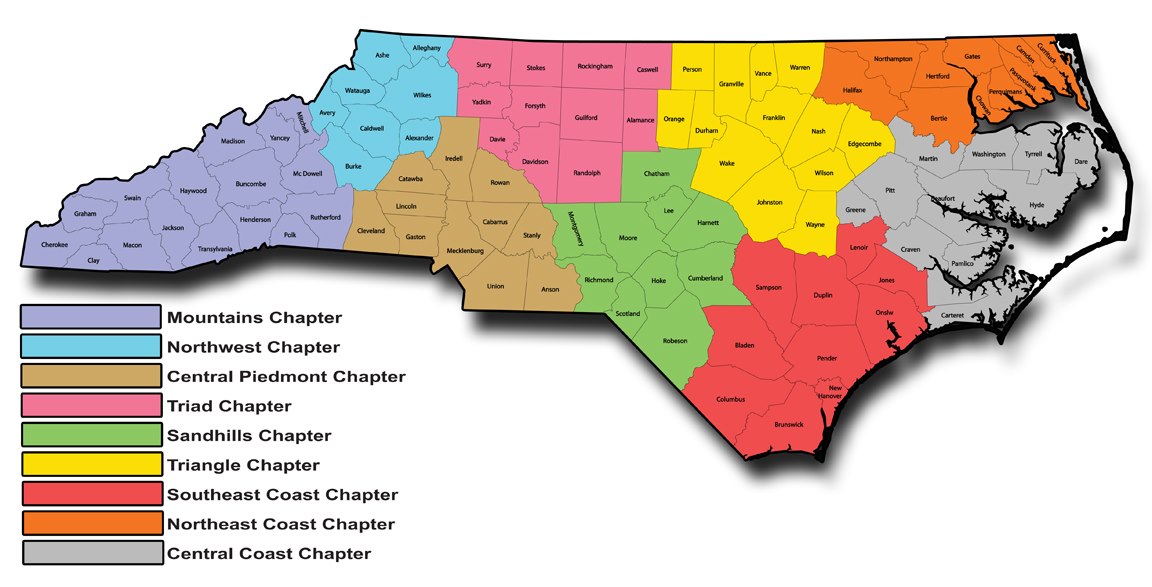 NCCPN | Asheville NC