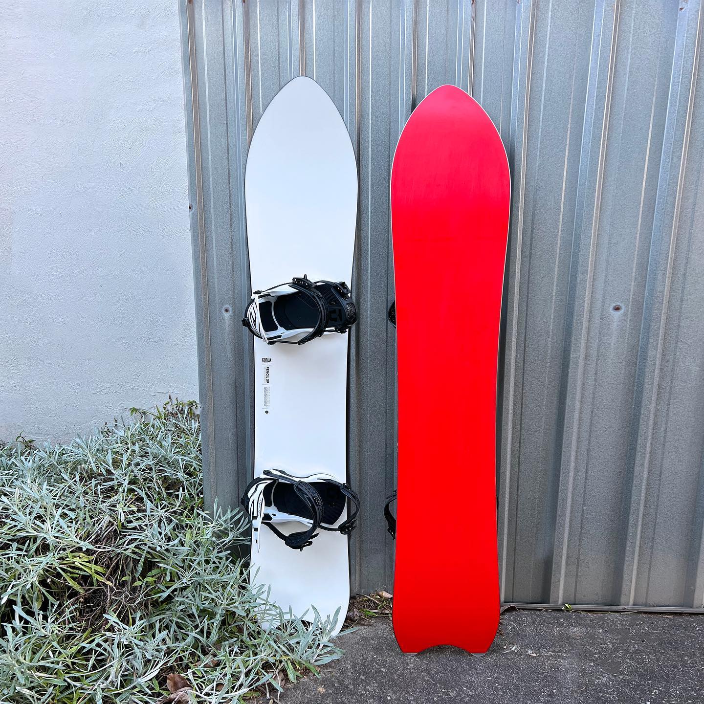 Powder board setup with Korua Shapes Tranny Finder