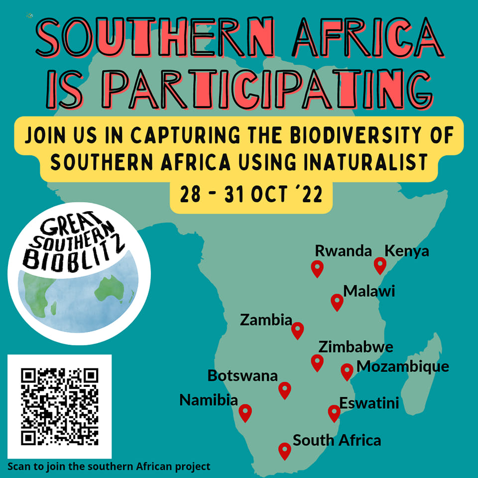 INaturalist - More African countries are joining the Great Southern ...