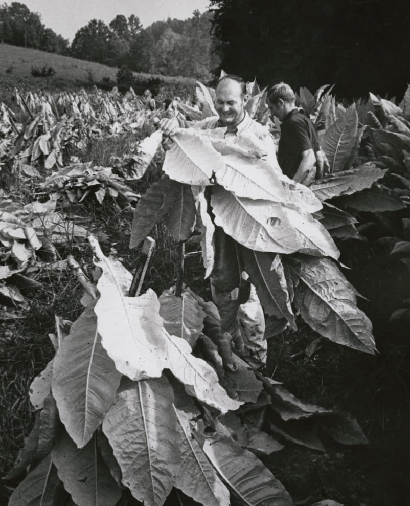 Lynchburg is steeped in tobacco history. These photos tell the story